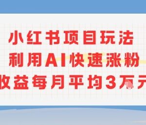 小红书商单项目新玩法 借助AI快速涨粉可获稳定副业收益-雨叶虚拟资源网