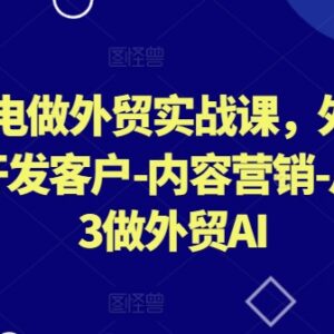 AI闪电做外贸实战课 零基础掌握建站获客营销全流程-雨叶虚拟资源网