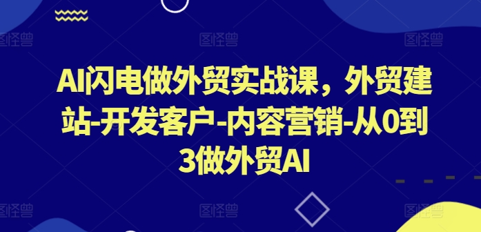 AI闪电做外贸实战课 零基础掌握建站获客营销全流程
