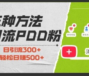 3种拼多多助力粉引流实操方法 0基础可上手当日即可变现-雨叶虚拟资源网