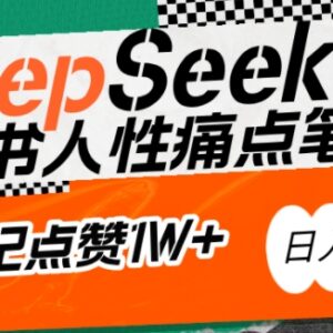 用DeepSeek精准抓用户痛点 零基础写出小红书高赞吸金笔记-雨叶虚拟资源网