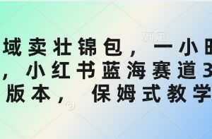 小红书3.0蓝海赛道私域卖壮锦包 保姆级全流程实操教学-雨叶虚拟资源网