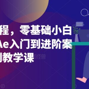 零基础AE从入门到进阶案例教程 覆盖软件操作特效插件实操-雨叶虚拟资源网