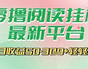 2024最新零撸自动阅读挂机平台操作指南 单部手机即可运行收益稳定-雨叶虚拟资源网