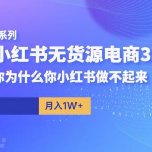 阿本小红书无货源电商3.0教程 解答新手做店没流量核心问题-雨叶虚拟资源网