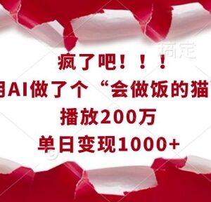 AI制作会做饭的猫高流量短视频 实操玩法及变现路径详解-雨叶虚拟资源网