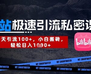 B站创业粉精准引流实操教程 新手可落地的高效获客玩法-雨叶虚拟资源网
