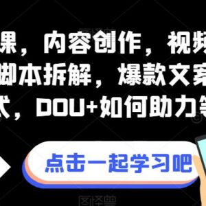 抖音短视频创作全案课 含底层逻辑爆款打造DOU+投放实操-雨叶虚拟资源网