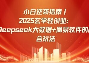 2025玄学轻创业攻略 Deepseek+周易算法融合玩法小白入门指南-雨叶虚拟资源网
