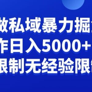 面向负债群体的私域变现项目解析 低门槛小白月入可达五千-雨叶虚拟资源网