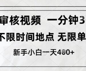 10秒一单的视频审核副业介绍 不限单量新手可做的低门槛兼职-雨叶虚拟资源网