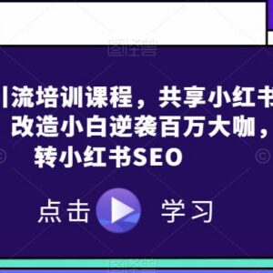 小红书引流与SEO运营培训课程 零基础掌握平台流量获客技巧-雨叶虚拟资源网