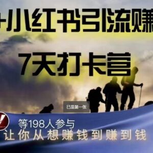 AI+小红书7天变现打卡营 从0掌握引流变现全流程实操方法-雨叶虚拟资源网