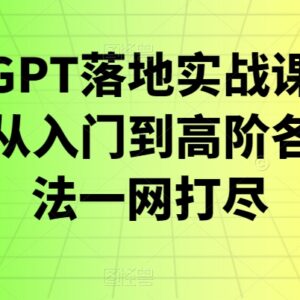 浩哥GPT落地实战课 从入门到高阶全场景实操教学指南-雨叶虚拟资源网