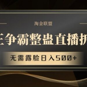 拳王争霸整蛊无人直播项目拆解 无需露脸实操玩法全指南-雨叶虚拟资源网