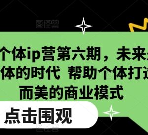 超级个体IP营第六期课程 教你打造个人IP小而美商业模式-雨叶虚拟资源网