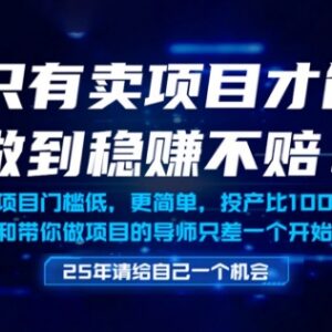 做项目不如卖项目稳赚 低门槛网创盈利逻辑及实操解析-雨叶虚拟资源网
