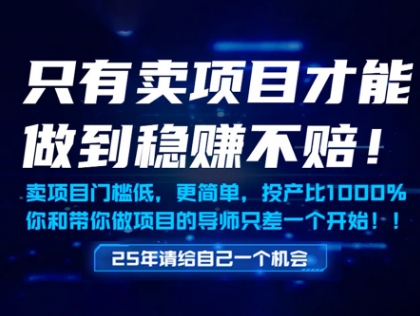 做项目不如卖项目稳赚 低门槛网创盈利逻辑及实操解析