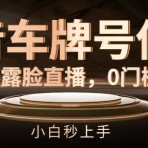 抖音不露脸车牌号估值直播项目 零门槛小白可快速上手操作-雨叶虚拟资源网