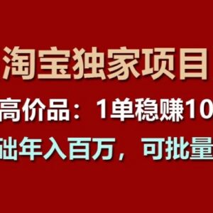 淘宝高客单价单品运营全攻略 0基础可上手可批量复制放大-雨叶虚拟资源网