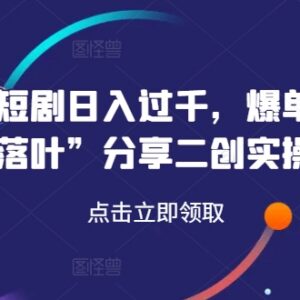小红书短剧二创实操指南 爆单大佬分享高收益运营经验-雨叶虚拟资源网