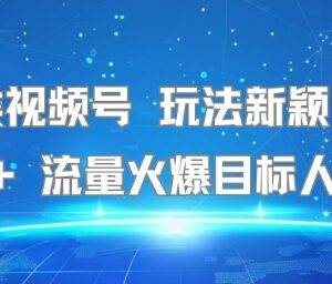 名著类视频号新颖玩法详解 操作简单小白易上手日收益可达500+-雨叶虚拟资源网