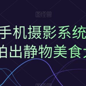 0基础可学的手机摄影系统课 教你用手机拍出静物美食大片-雨叶虚拟资源网