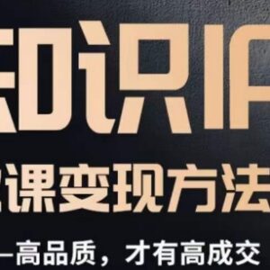 知识IP打造高品质付费课程 全流程做课变现实操方法论-雨叶虚拟资源网