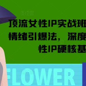 顶流女性IP打造实战教程 从定位流量到变现全流程学习指南-雨叶虚拟资源网