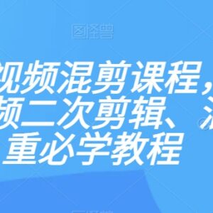 新手短视频二次混剪去重教程 PR剪辑操作及变现方法全讲解-雨叶虚拟资源网