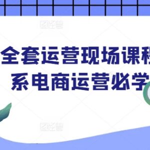 2025淘宝全套运营实操课程 淘系电商运营从入门到进阶教程-雨叶虚拟资源网