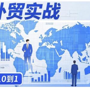 外贸询盘增长从0到1实战指南 全流程提升外贸业务能力-雨叶虚拟资源网