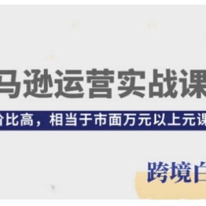 亚马逊运营从入门到精通实战课 全流程实操开店运营技能提升教程-雨叶虚拟资源网