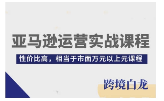 亚马逊运营从入门到精通实战课 全流程实操开店运营技能提升教程