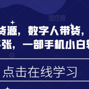 视频号无货源数字人带货实操教程 小白用手机即可轻松上手-雨叶虚拟资源网