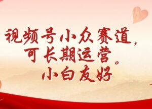 视频号小众长期运营赛道拆解 零基础小白友好易上手实操-雨叶虚拟资源网
