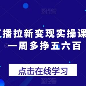 抖音直播拉新变现实操课 新手可落地的副业增收方法教学-雨叶虚拟资源网