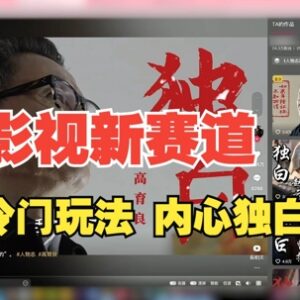 2024最新影视解说人物独白玩法 30天涨粉24万全流程拆解教程-雨叶虚拟资源网