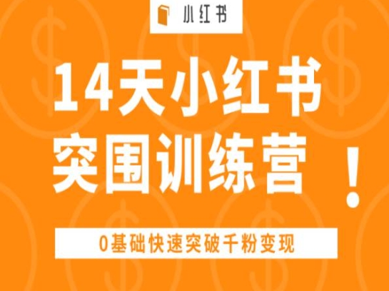0基础14天小红书突围训练营 千粉账号搭建变现全流程攻略