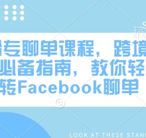 FB粉专聊单实操教程 跨境电商Facebook运营全流程学习指南-雨叶虚拟资源网