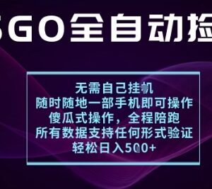 CSGO游戏饰品交易全自动捡漏项目 无需玩游戏手机即可操作-雨叶虚拟资源网