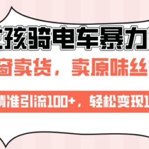 利用AI生成美女骑电车视频起号 精准引流及变现实操教程-雨叶虚拟资源网