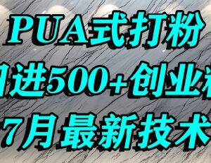 快手引流精准创业粉实操方法 单人可实现日引500+精准流量-雨叶虚拟资源网