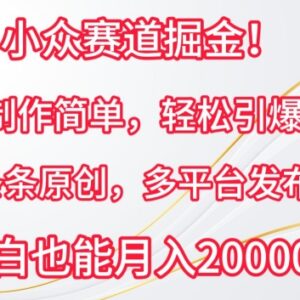 小众恐怖故事赛道怎么做 原创视频制作多平台分发变现攻略-雨叶虚拟资源网