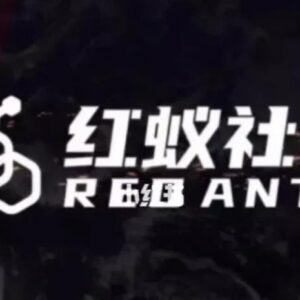 红蚁社群48节抖音IP运营落地课 配套2000人高端交流社群-雨叶虚拟资源网