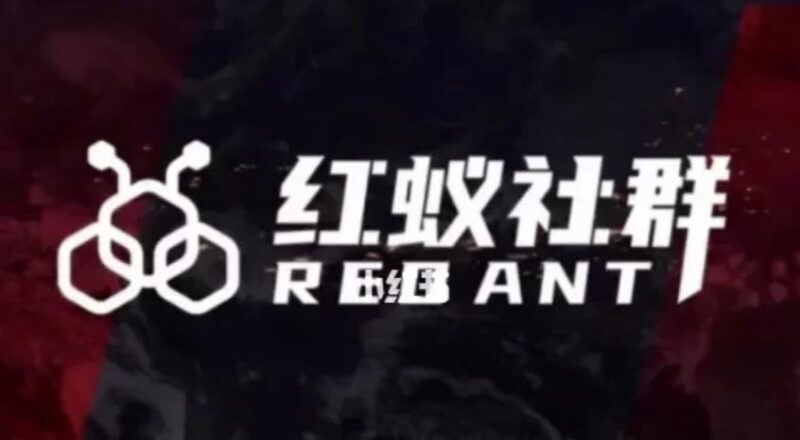 红蚁社群48节抖音IP运营落地课 配套2000人高端交流社群