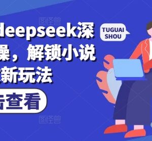 小说推文DeepSeek深度改文实操 解锁流量破局出单新玩法-雨叶虚拟资源网