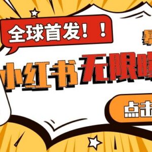 小红书无限曝光Pro版实操方法 全领域精准获粉规避平台监测-雨叶虚拟资源网
