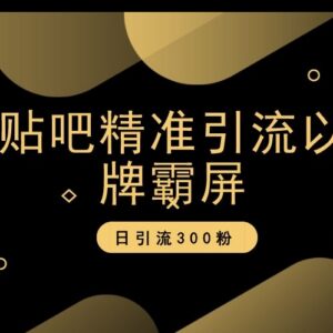 百度贴吧精准引流及品牌霸屏实操 附全套教学课程资源-雨叶虚拟资源网