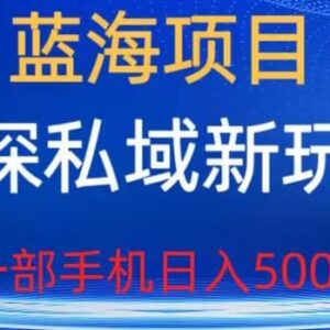 探探私域蓝海项目实操玩法拆解 单手机操作轻松实现日入500+-雨叶虚拟资源网